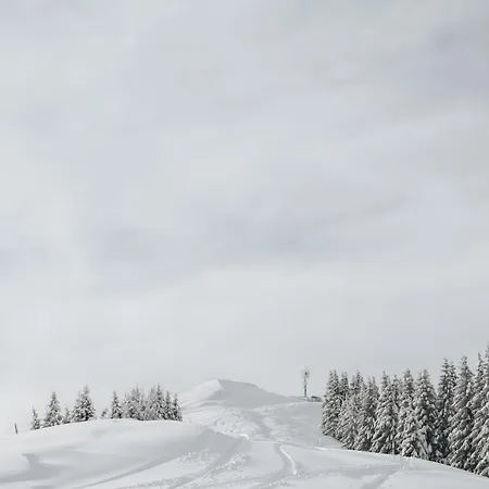 Daire Hisa Juliana - Perfect Starting Point To Explore Slovenia