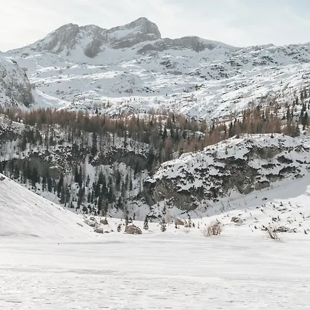 アパート Hisa Juliana - Perfect Starting Point To Explore Slovenia *