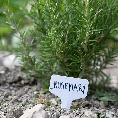 Hisa Juliana - Perfect Starting Point To Explore Slovenia アパート