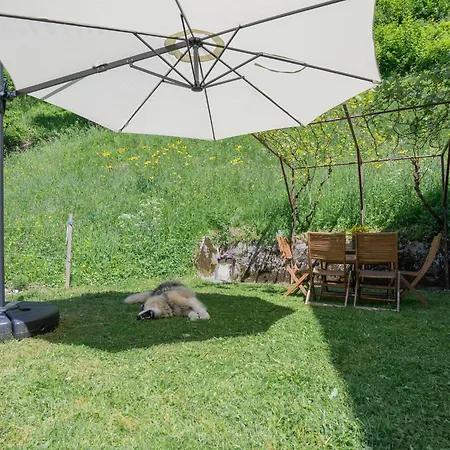 Apartment Hisa Juliana - Perfect Starting Point To Explore Slovenia Podbrdo