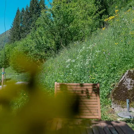 Apartment Hisa Juliana - Perfect Starting Point To Explore Slovenia Podbrdo