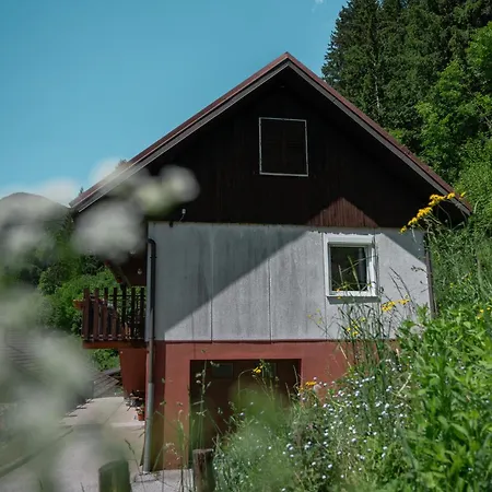 Hisa Juliana - Perfect Starting Point To Explore Slovenia Apartment *