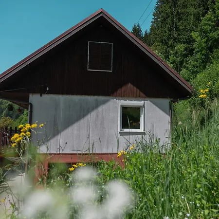 Apartment Hisa Juliana - Perfect Starting Point To Explore Slovenia