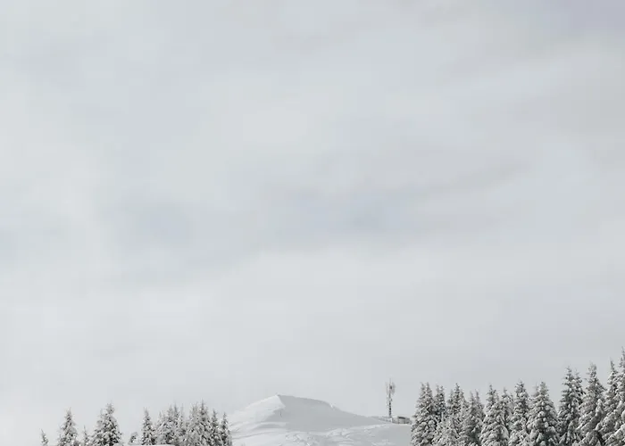 Apartment Hisa Juliana - Perfect Starting Point To Explore Slovenia