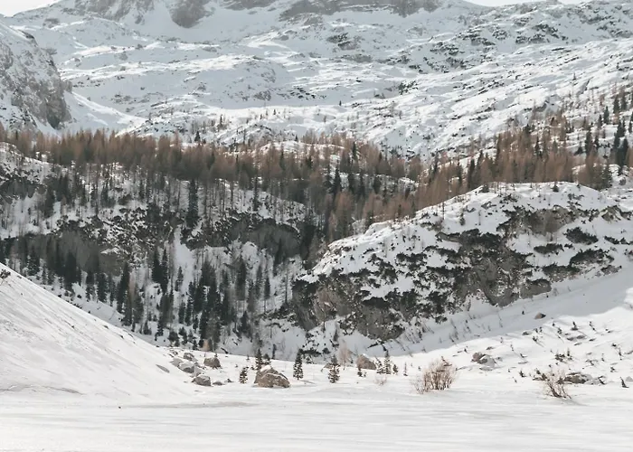 Apartment Hisa Juliana - Perfect Starting Point To Explore Slovenia *