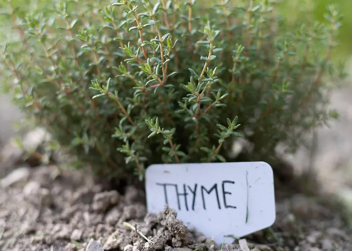 Hisa Juliana - Perfect Starting Point To Explore Slovenia Apartment